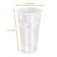 Disposable shaker 25cl APET transparencies, box of 1250