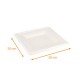 Plant fiber plate square 20x20cm, pack of 50