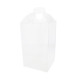 Valisette transparente en PVC, 15x15x25cm, carton de 200