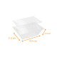 Insert and lid for isothermal ice box 500cc, in RPET, box of 160